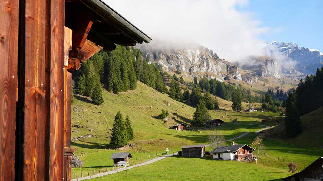 Aussicht Berghaus Steinenberg